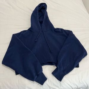Aritzia Cozy Fleece Cropped Hoodie (Raw Hem)